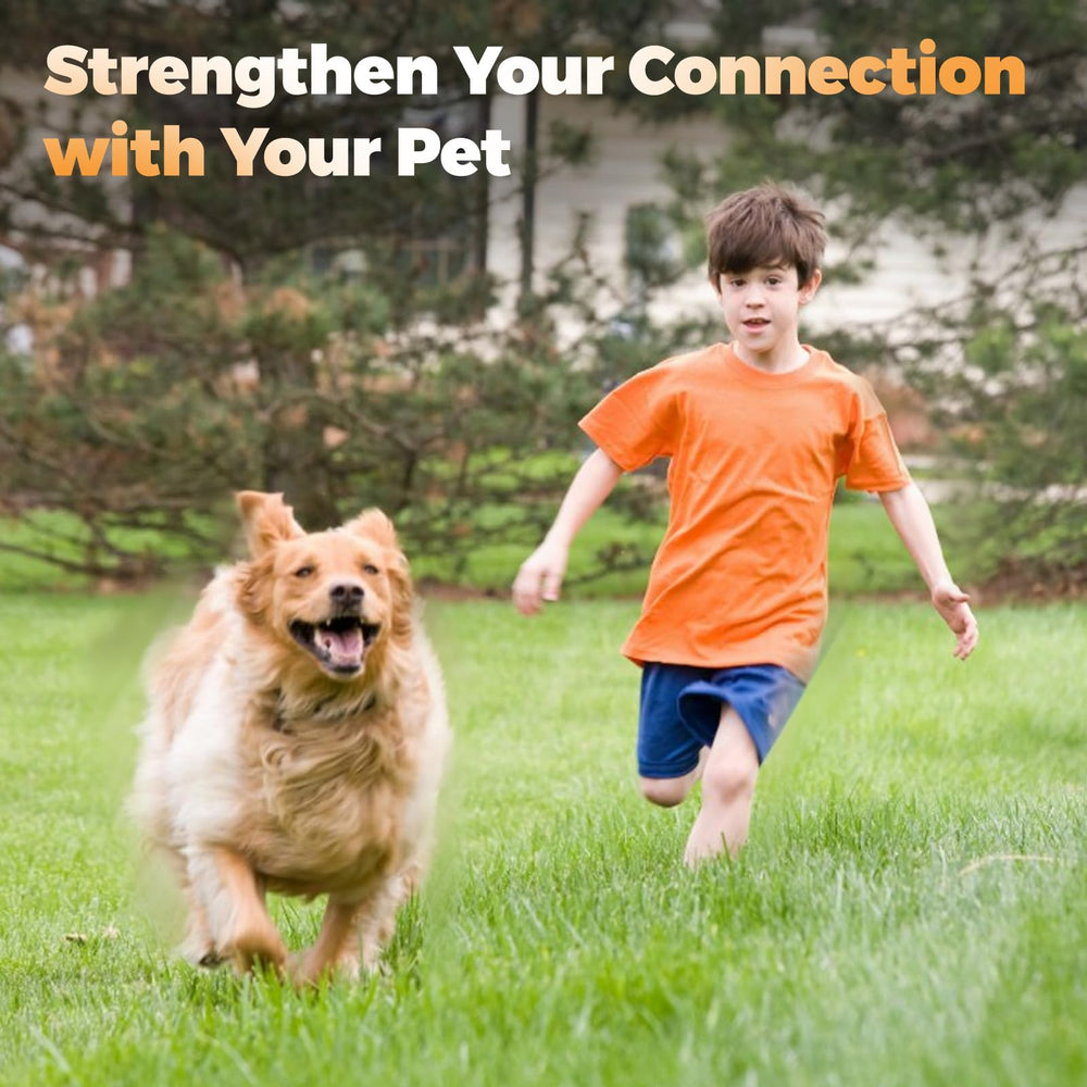 Pragmatist Outdoor Flirt Pole portable highlights travel-friendly setup for vacations with pets.