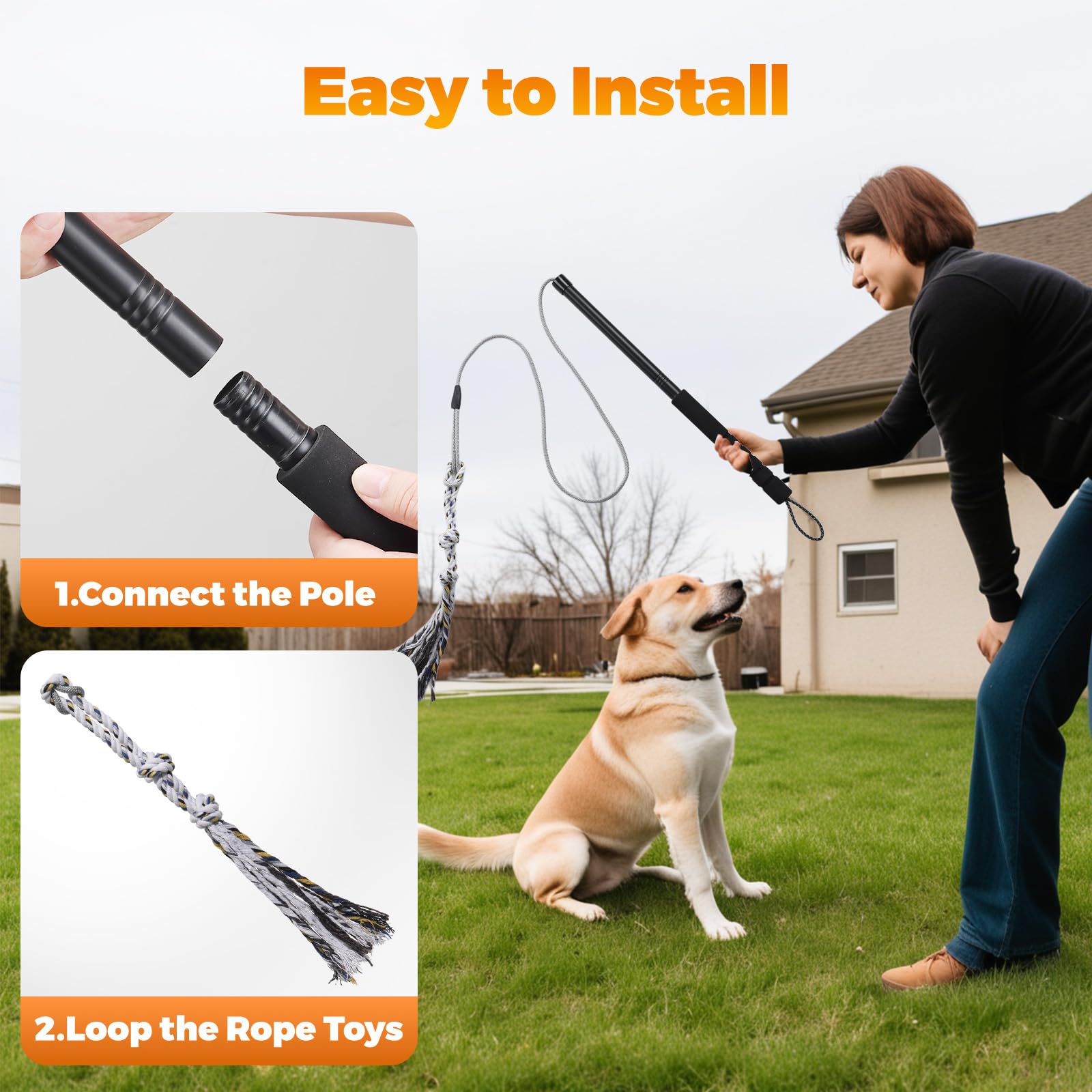 Pragmatist Outdoor Flirt Pole tug and chase demonstrates versatile games for dogs.