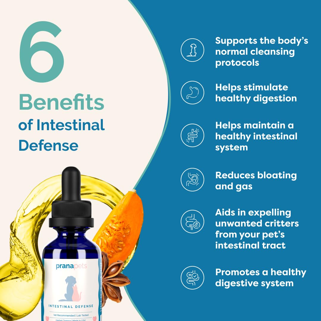 PranaPets Intestinal Defense cat drops for simple administration and digestion support.