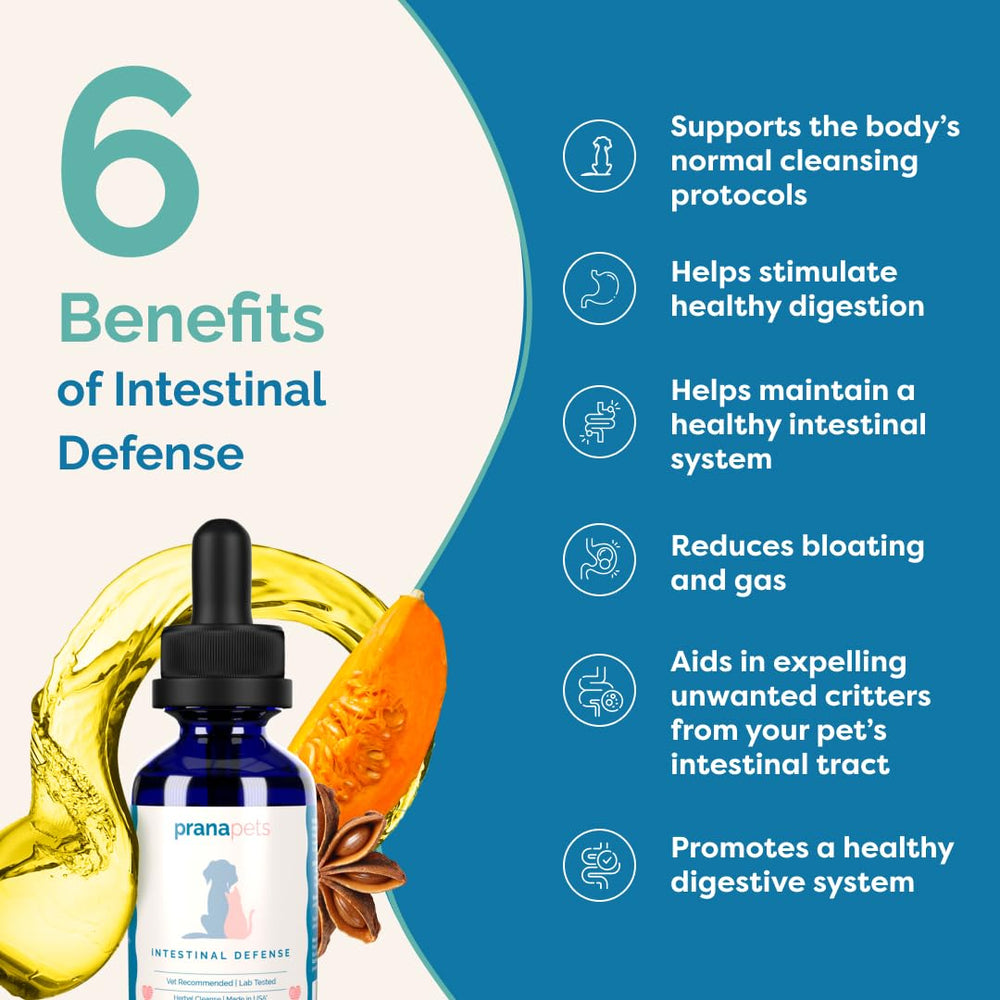 PranaPets Intestinal Defense cat drops for simple administration and digestion support.
