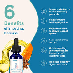 PranaPets Intestinal Defense cat drops for simple administration and digestion support.