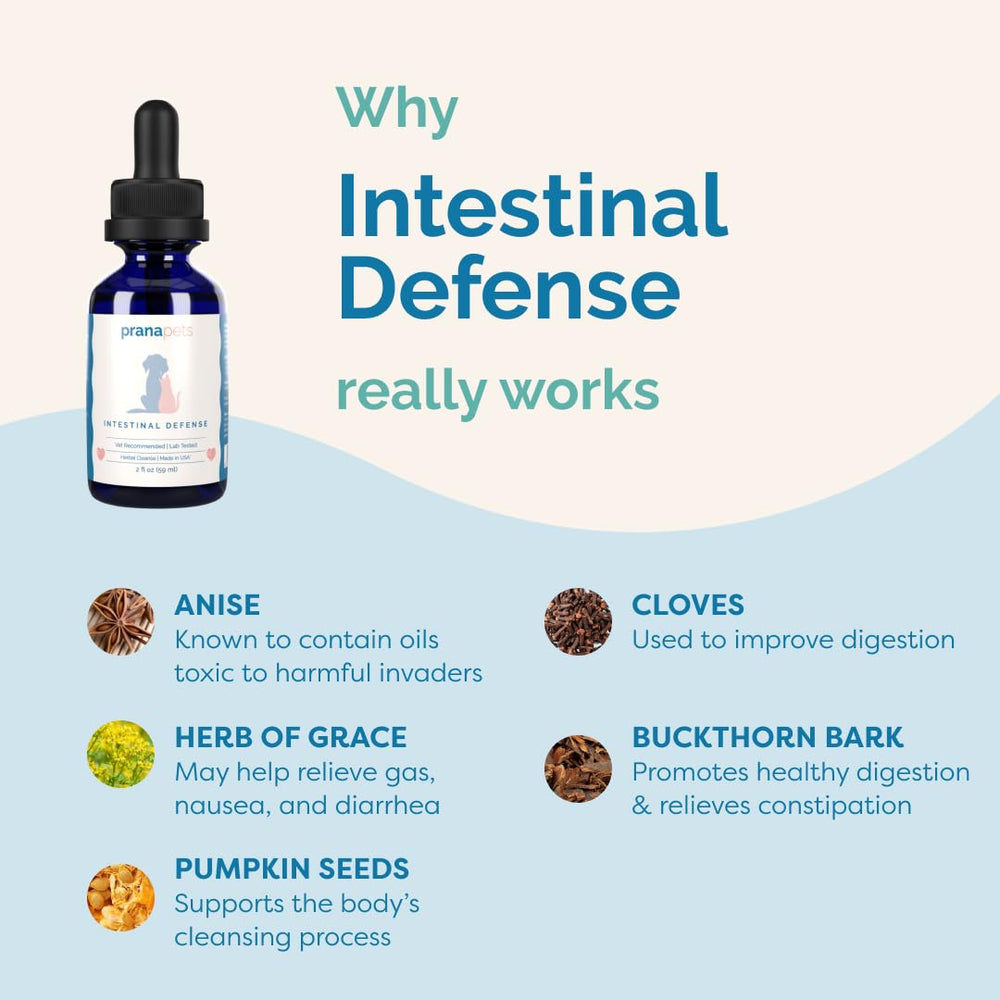 PranaPets Intestinal Defense dropper for precise dosing with meals.