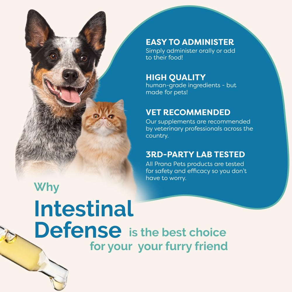 PranaPets Intestinal Defense food-mixing scene for easy daily integration.