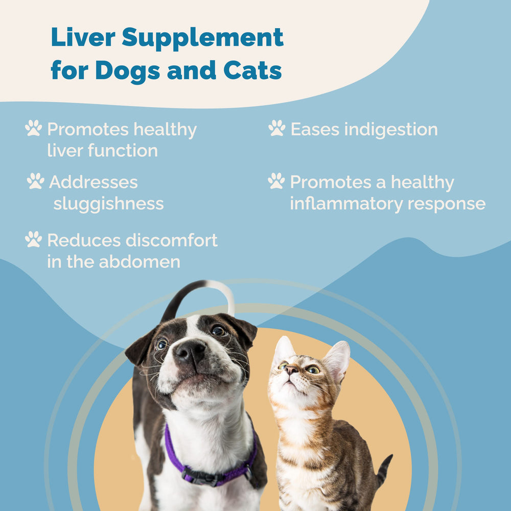 PranaPets liver supplement added to wet food for convenient digestive comfort.