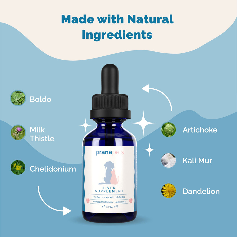 PranaPets liver supplement in a dog or cat meal, suggesting taste-friendly use.