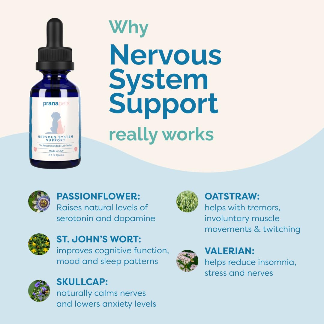 PranaPets nervous system support for dogs and cats in a relaxed pose, suggesting calmer sessions.