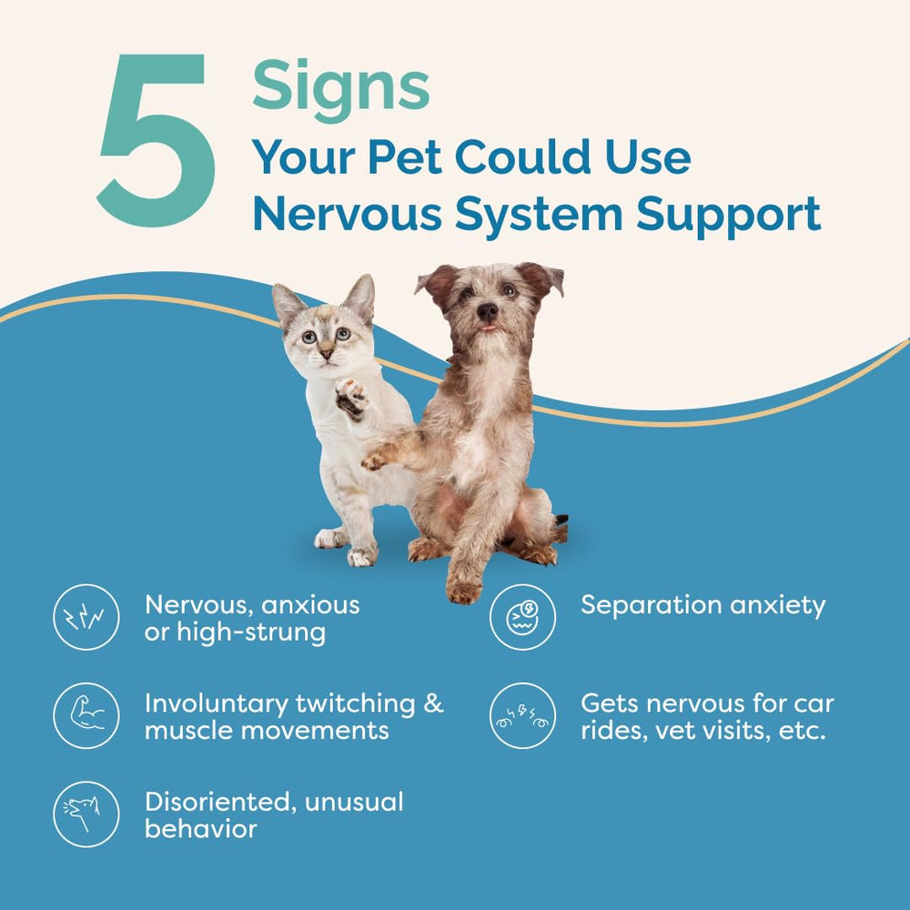PranaPets nervous system support drops ready for daily administration to pets.