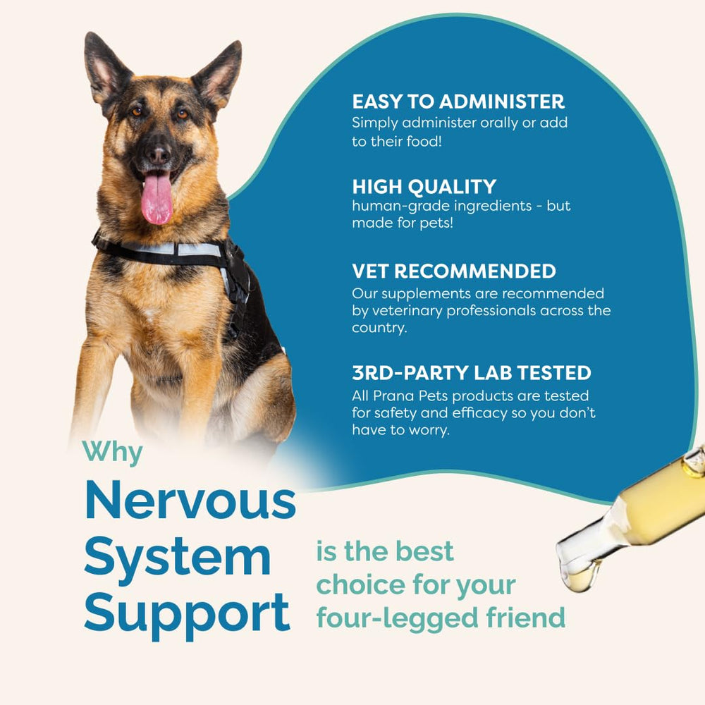 PranaPets nervous system support serving dish shows easy mixing with meals.