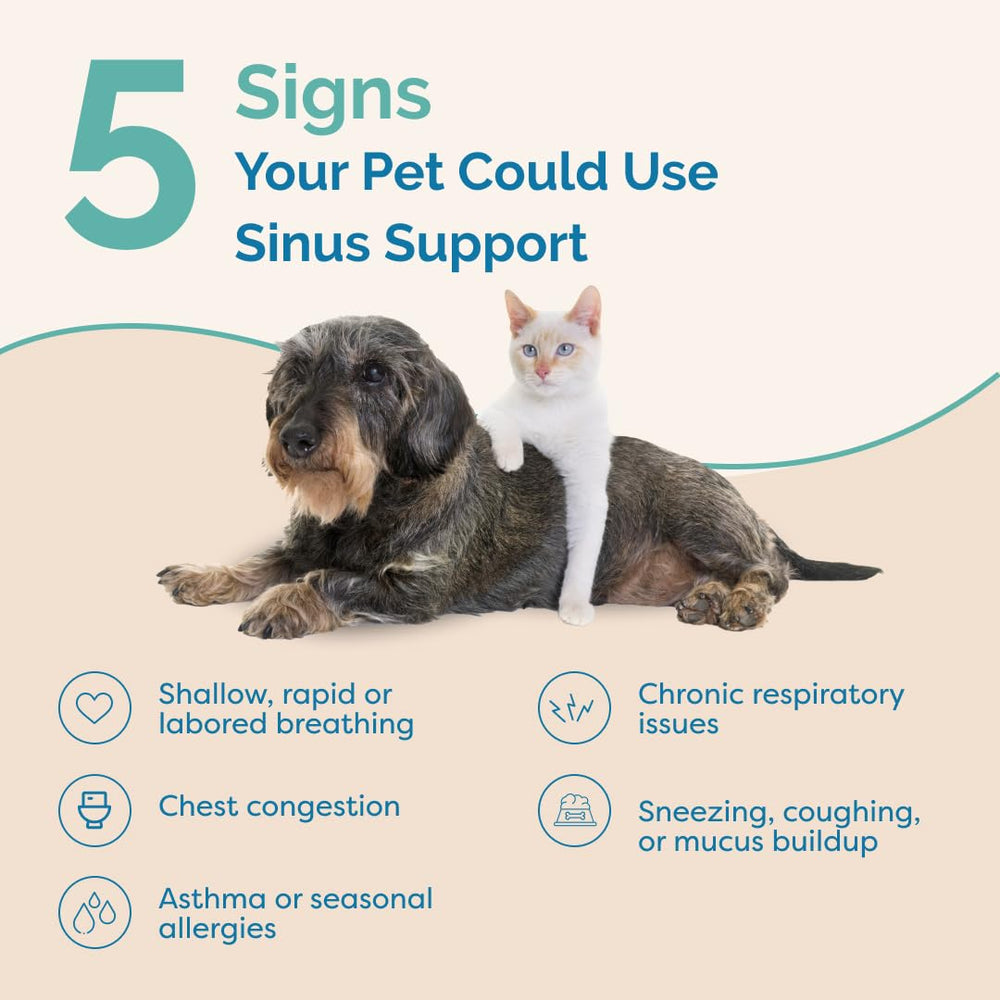 Close up of PranaPets Sinus Support Liquid dropper for simple mouth dosing.