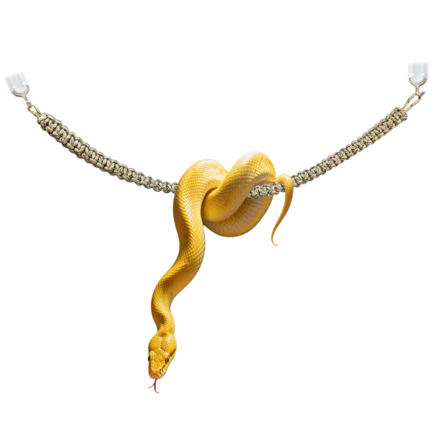 Pranovo Snake Climbing Rope swing provides vertical enrichment for snakes.