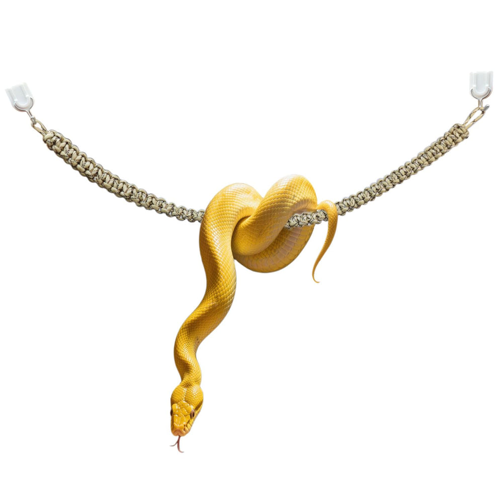 Pranovo Snake Climbing Rope swing provides vertical enrichment for snakes.