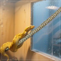 Pranovo climbing rope installed in tank, ready for exploration and activity.