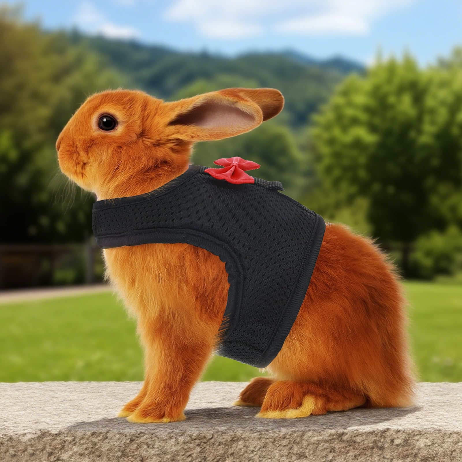Prasacco adjustable back panel demonstrates growth-friendly design for extended use across pets.