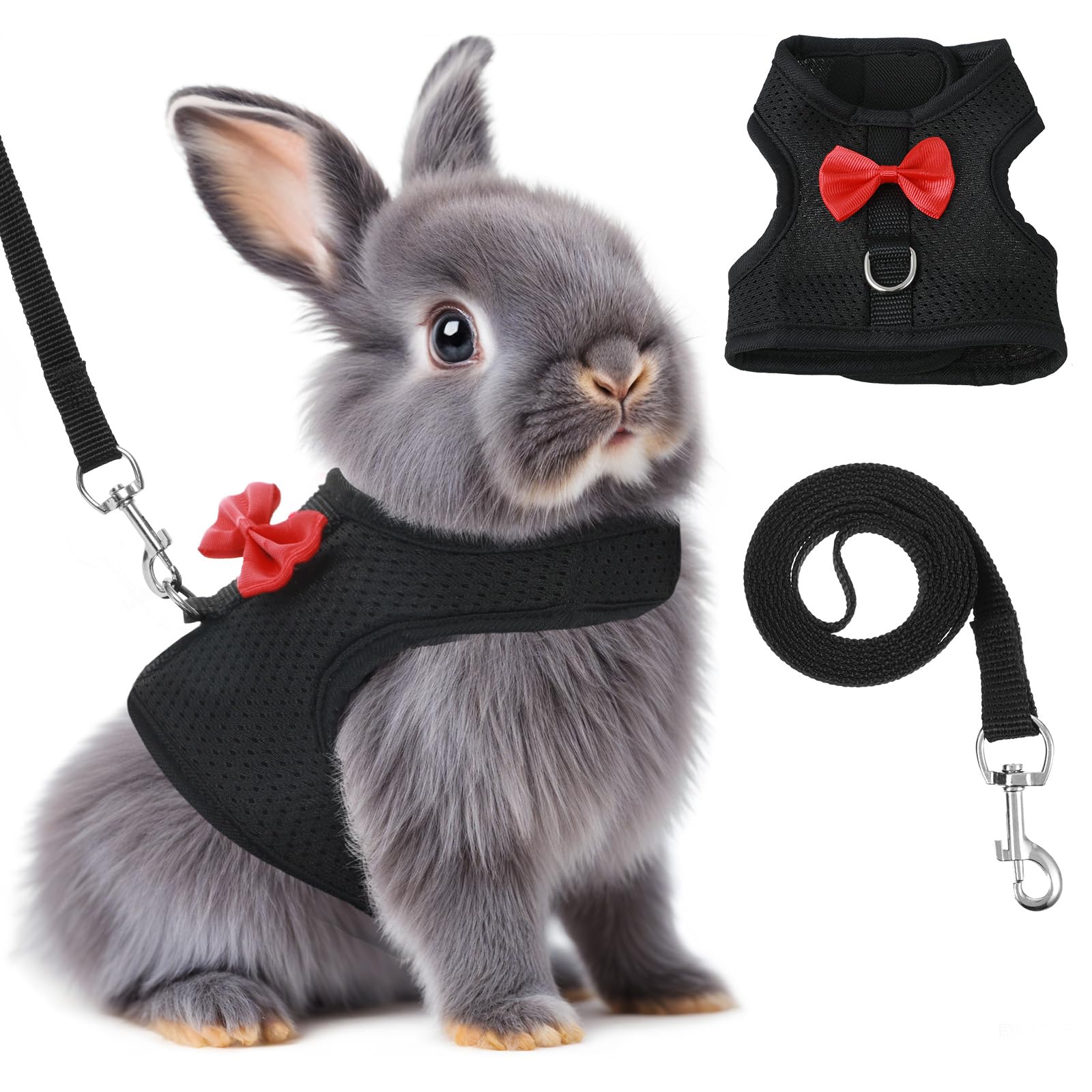 Prasacco bunny harness on rabbit demonstrates a secure fit for outdoor walks.