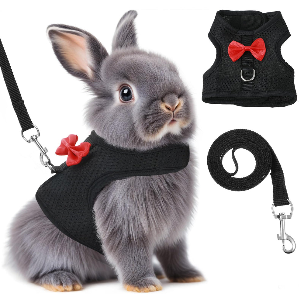 Prasacco bunny harness on rabbit demonstrates a secure fit for outdoor walks.