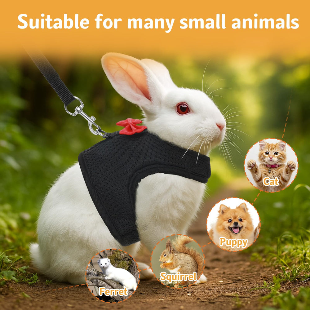 Prasacco lightweight-46g-harness showcases easy portability for travel and hikes.