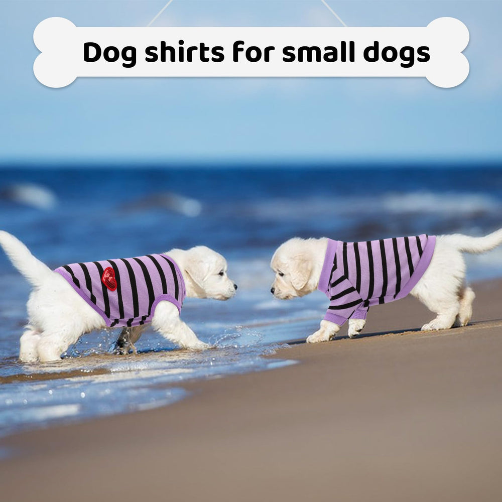 Preferhouse striped purple tee during walk showcases quick-dry, easy-care fabric.