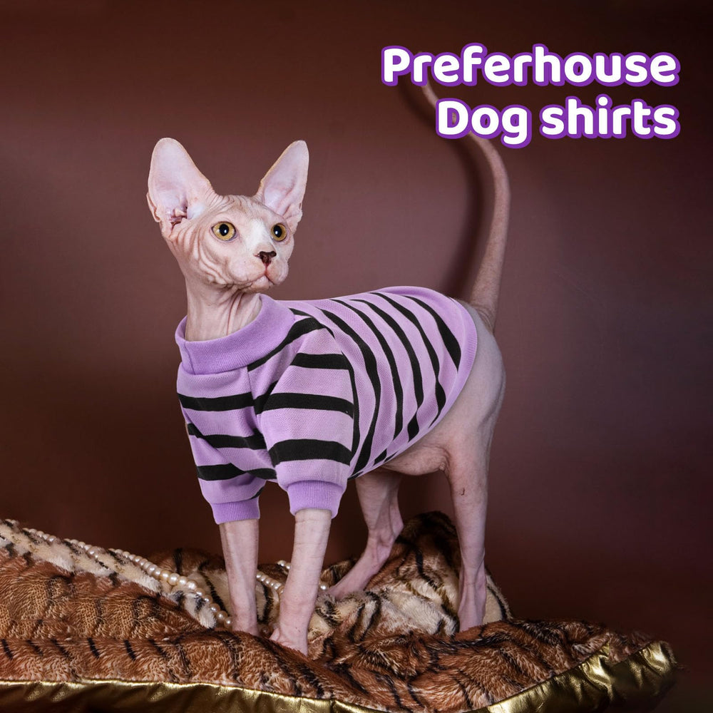 Preferhouse dog shirt in purple during photo shoot evokes playful, family-friendly vibes.