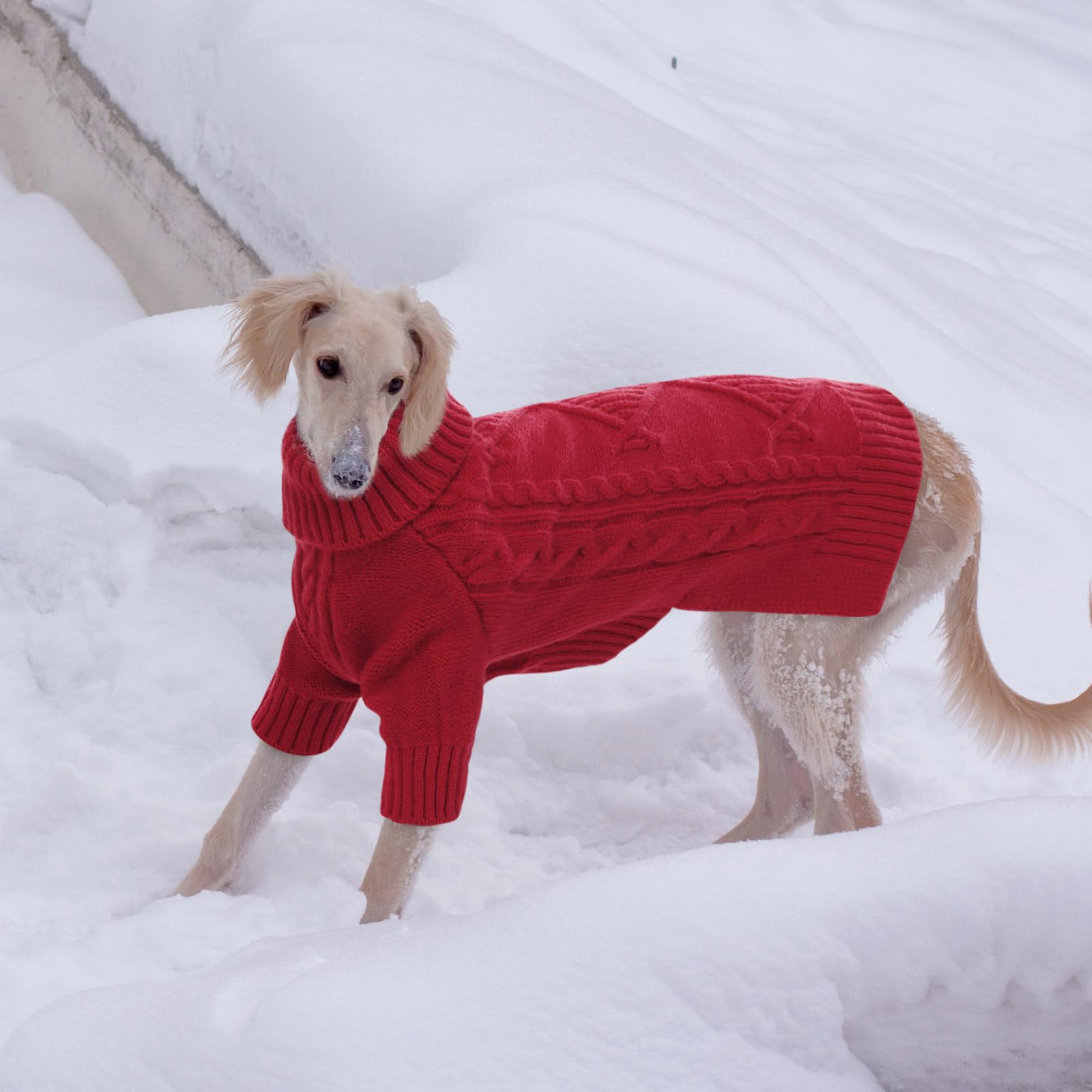 Preferhouse holiday-ready sweater suits Christmas, birthdays, and seasonal gatherings.