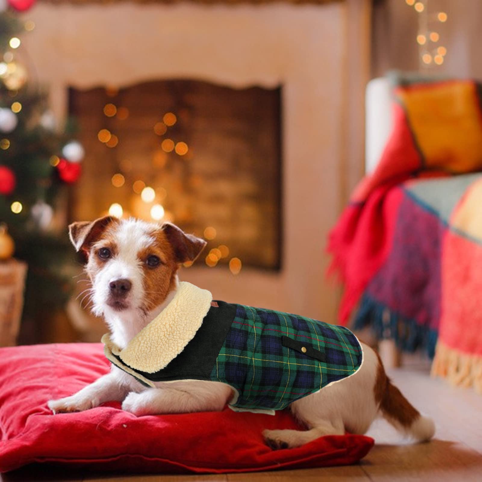 Preferhouse inner fleece dog coat green M soft warmth for chilly days
