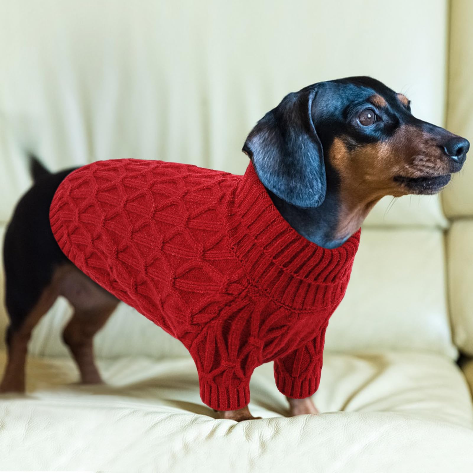 Preferhouse dog sweater two-legged design enables easy dressing and quick changes.