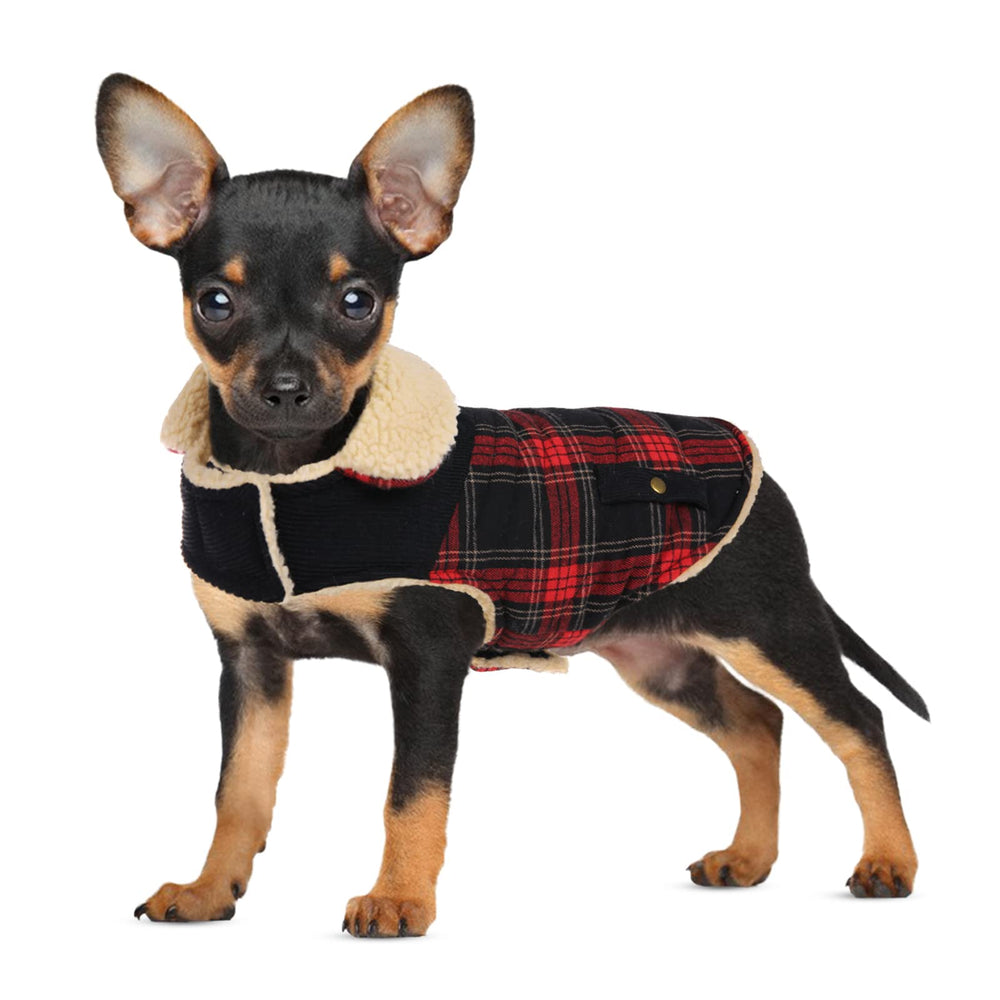 Preferhouse winter coat on red dog provides cozy warmth for chilly walks.