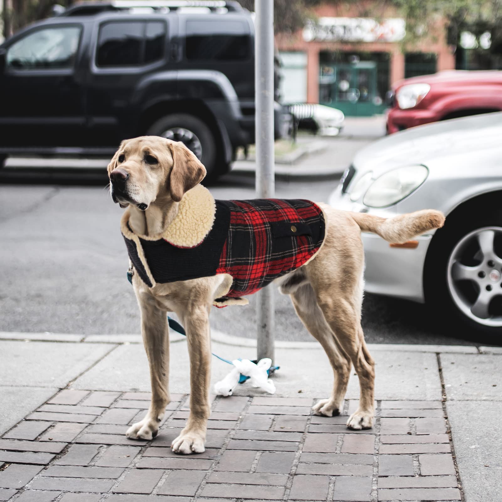 Red plaid grid design of the Preferhouse coat for timeless style.