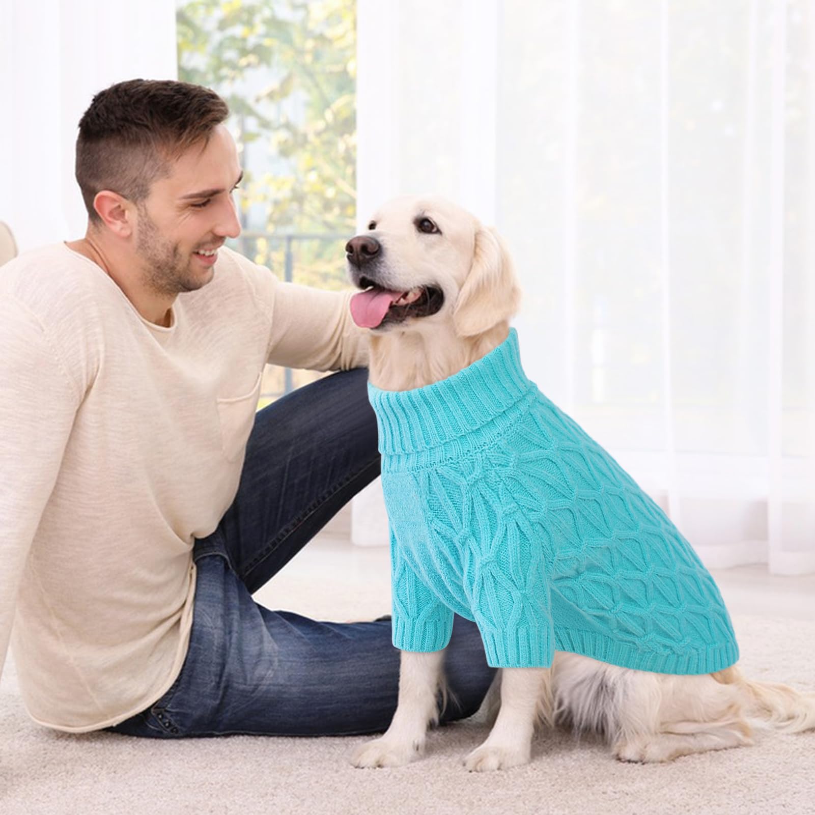 Preferhouse XS dog sweater lakeblue worn indoors for cozy warmth during lounging