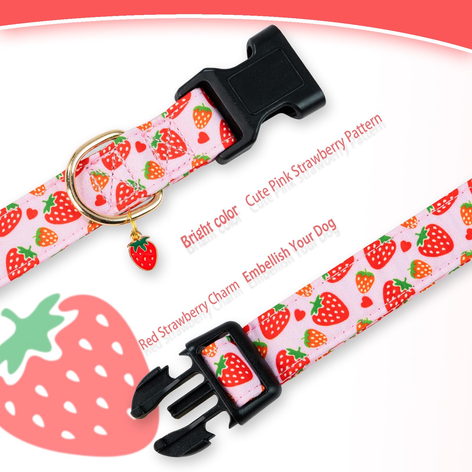 PREHAI color pattern collar highlighting unique design and style