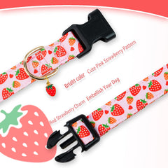 PREHAI color pattern collar highlighting unique design and style