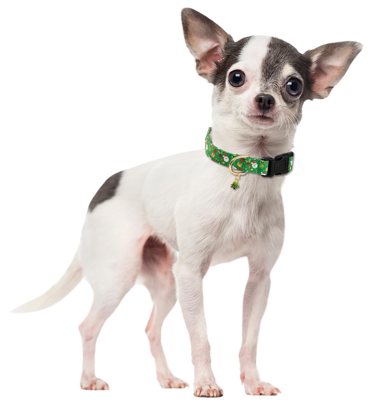 PREHAI dog-collar closeup-pattern-and-charm highlights eye-catching holiday design.