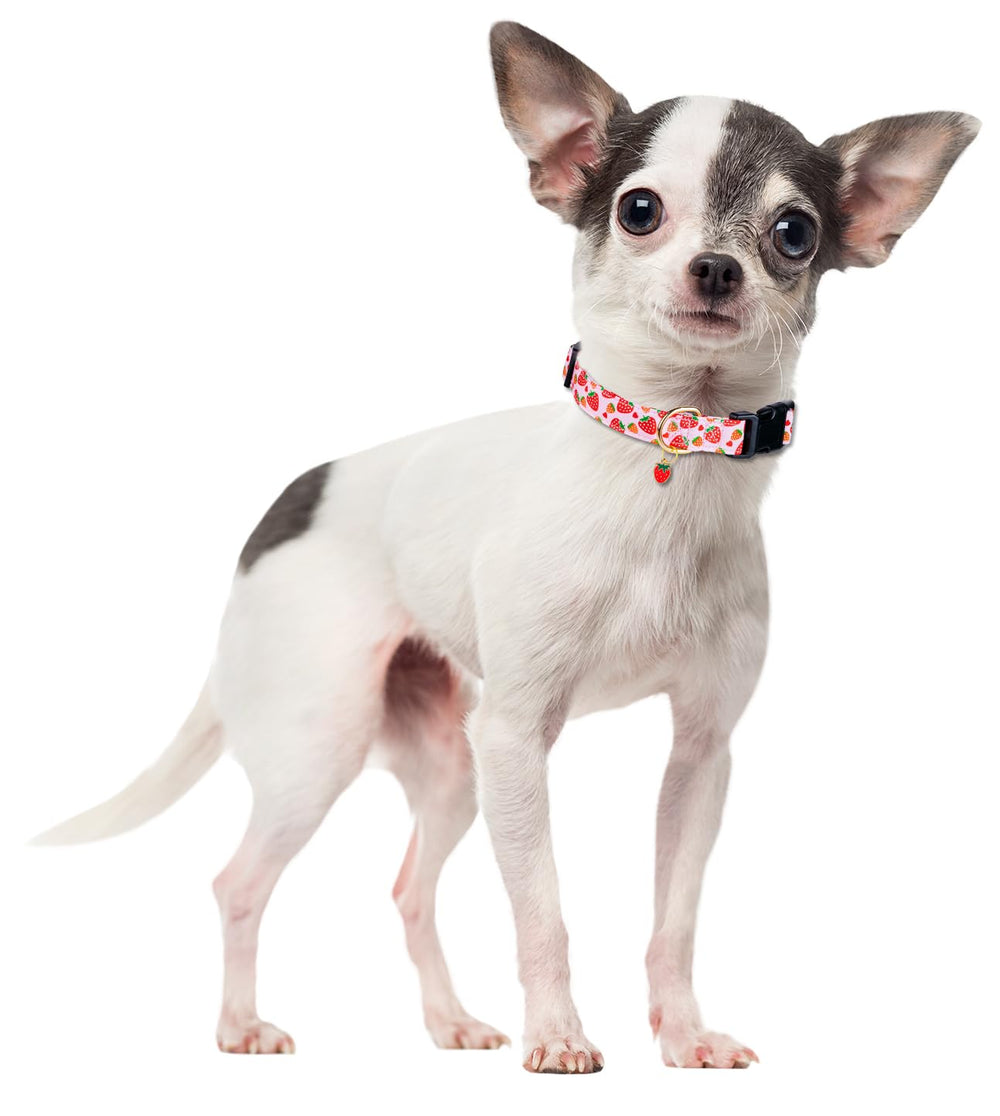 PREHAI soft fabric collar ideal for gentle everyday wear