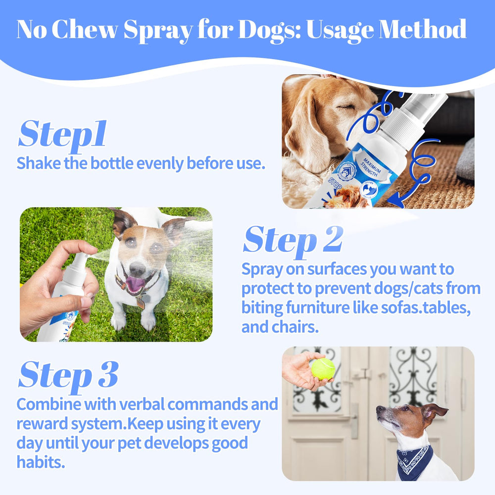 Premier Pet Bitter Apple Spray in use with dog – safe training aid.