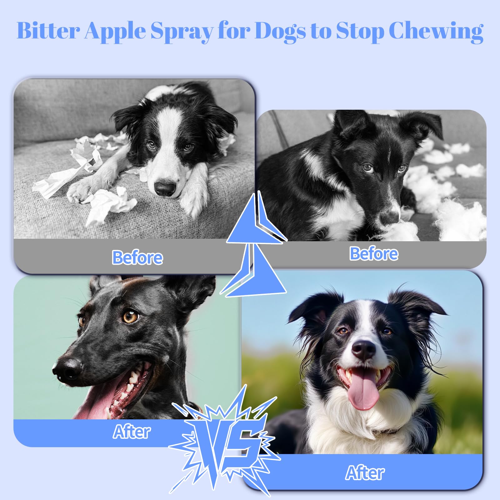 Premier Pet Bitter Apple Spray being applied to surfaces – long-lasting deterrent.