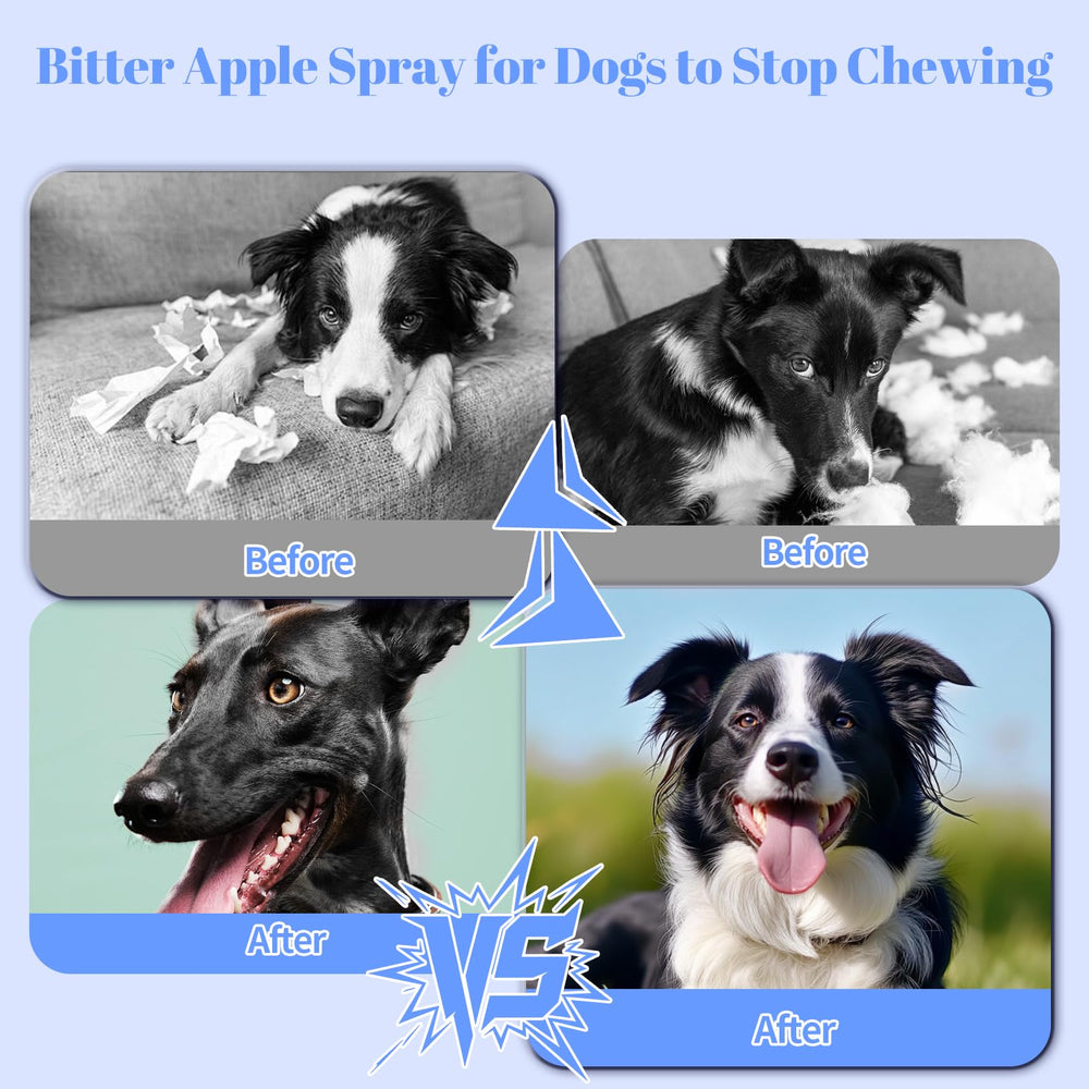 Premier Pet Bitter Apple Spray being applied to surfaces – long-lasting deterrent.