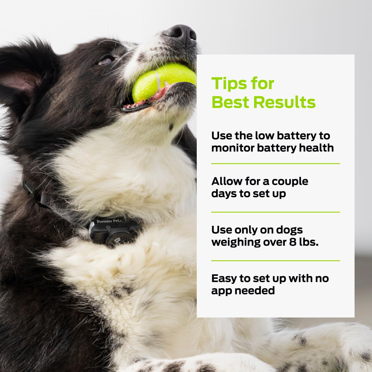 Premier Pet multi-dog expansion setup with fence and markers for training