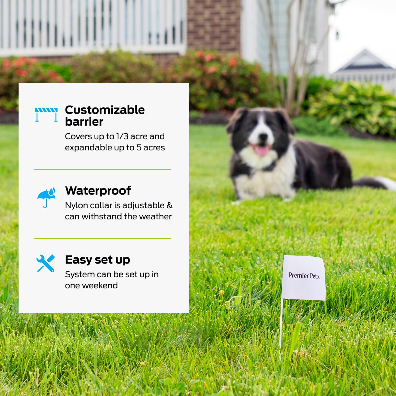 Premier Pet in-ground fence setup showing expansion potential for multiple dogs