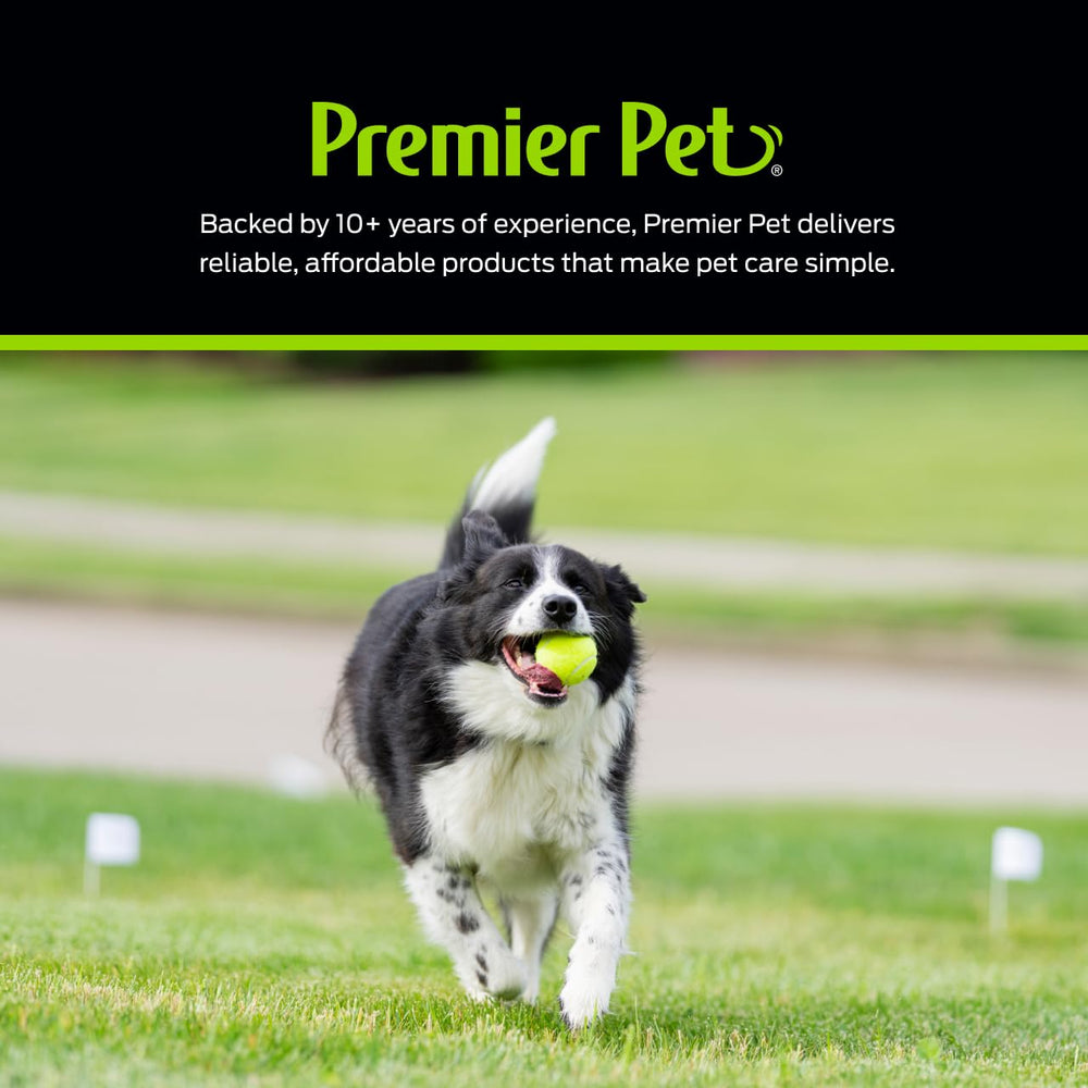 Perimeter flags aid clear training cues for boundary learning.