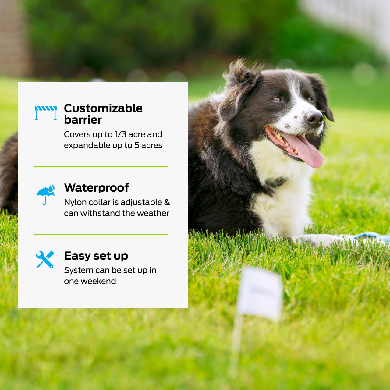 Waterproof collar shown in all-weather use for reliable outdoor training.