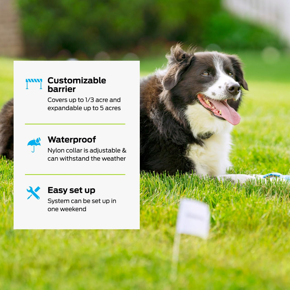 Waterproof collar shown in all-weather use for reliable outdoor training.