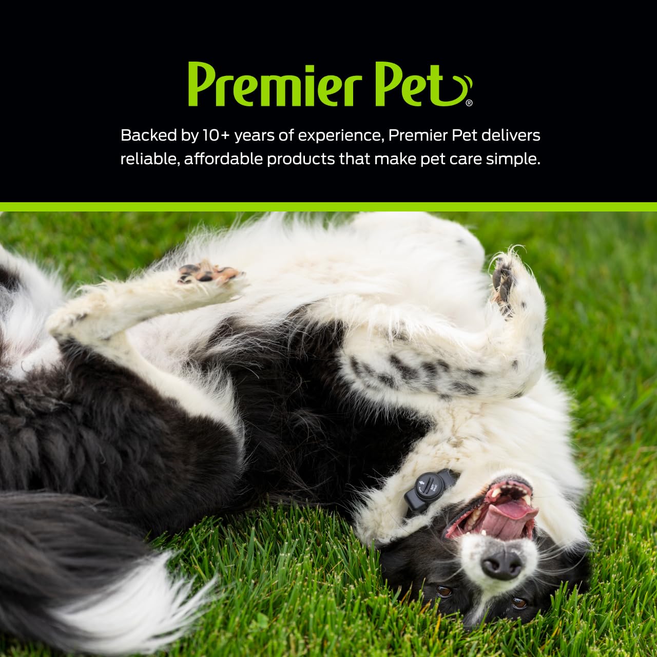 Premier Pet tone and four static levels shown for tailored training control