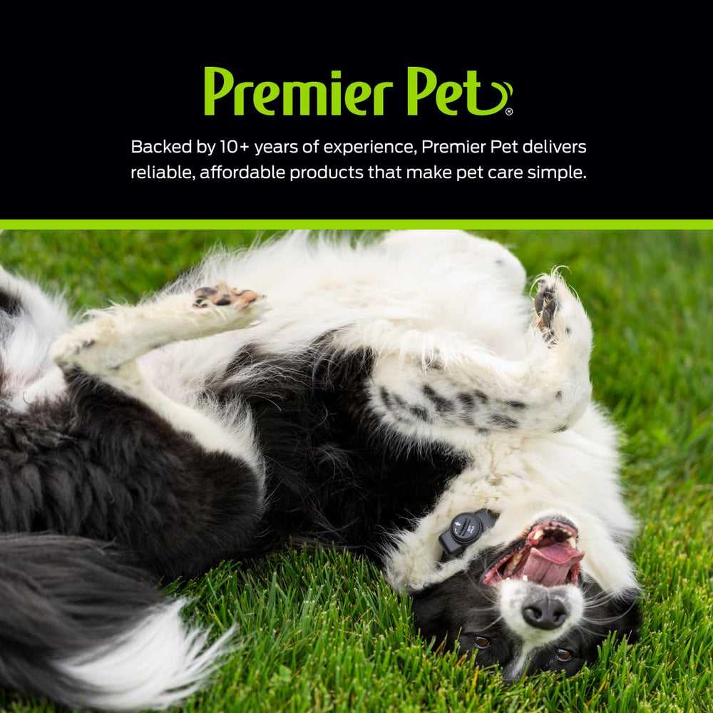 Premier Pet tone and four static levels shown for tailored training control