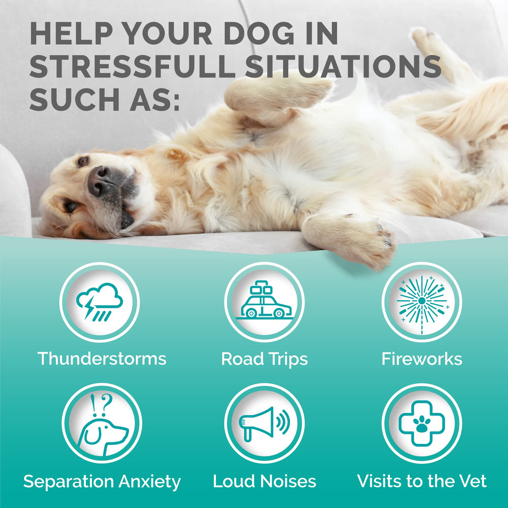 PREMIUM CARE Calming Chews 120-count pack highlighting long lasting mood support.
