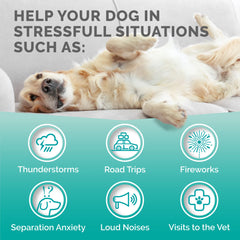 PREMIUM CARE Calming Chews 120-count pack highlighting long lasting mood support.