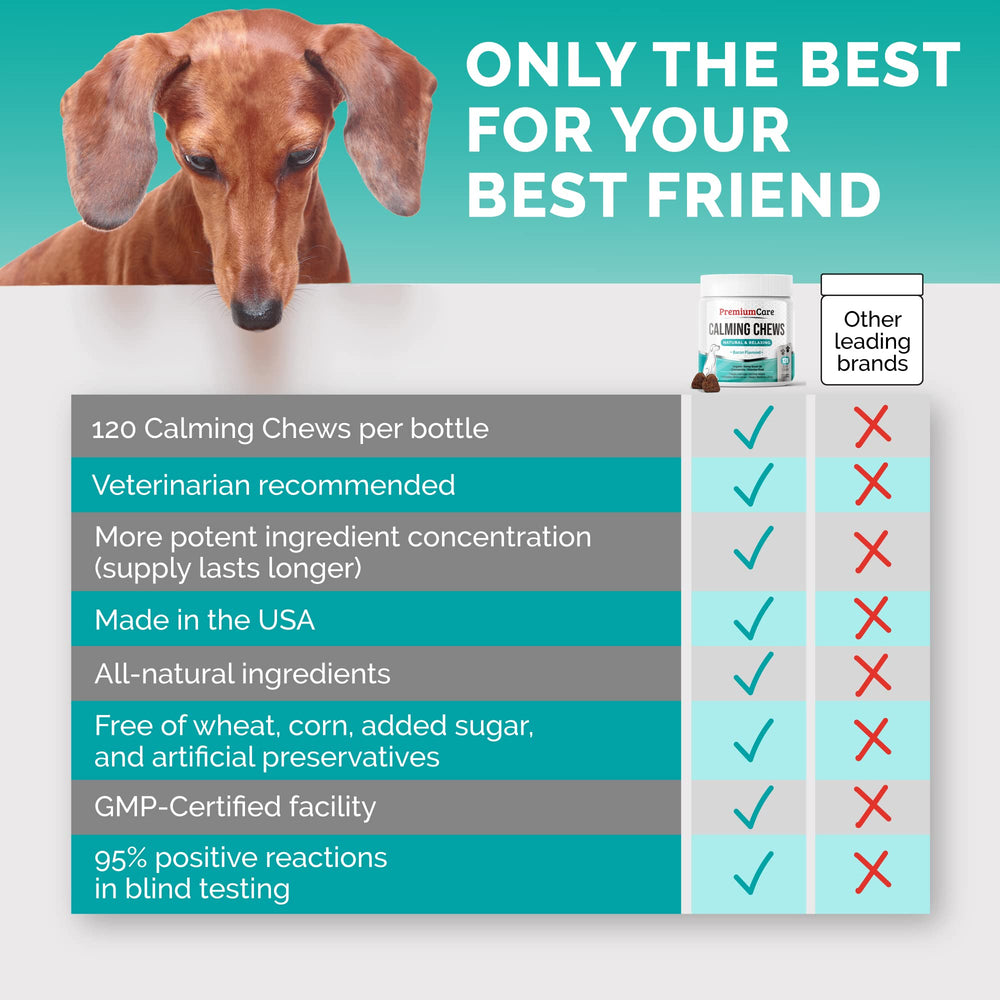 PREMIUM CARE Calming Chews dog relaxed moment after using the treats.