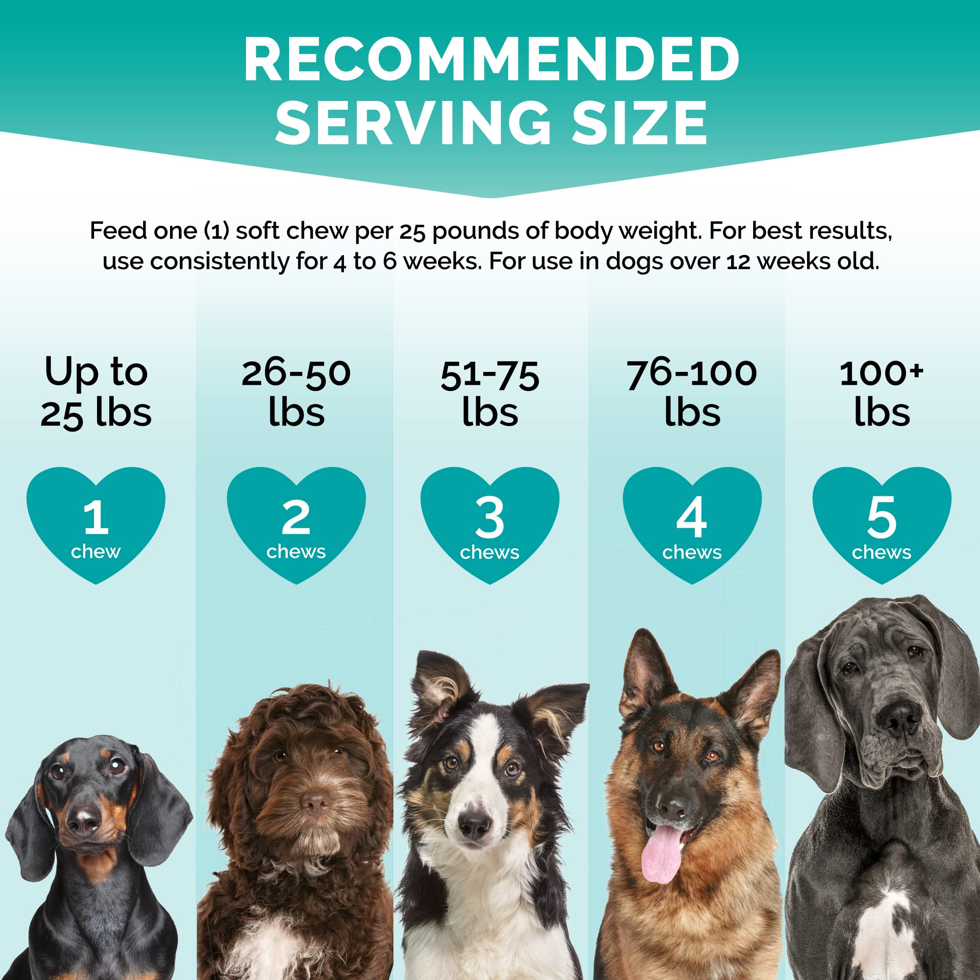 PREMIUM CARE Calming Chews USA production badge confirms domestic manufacturing.