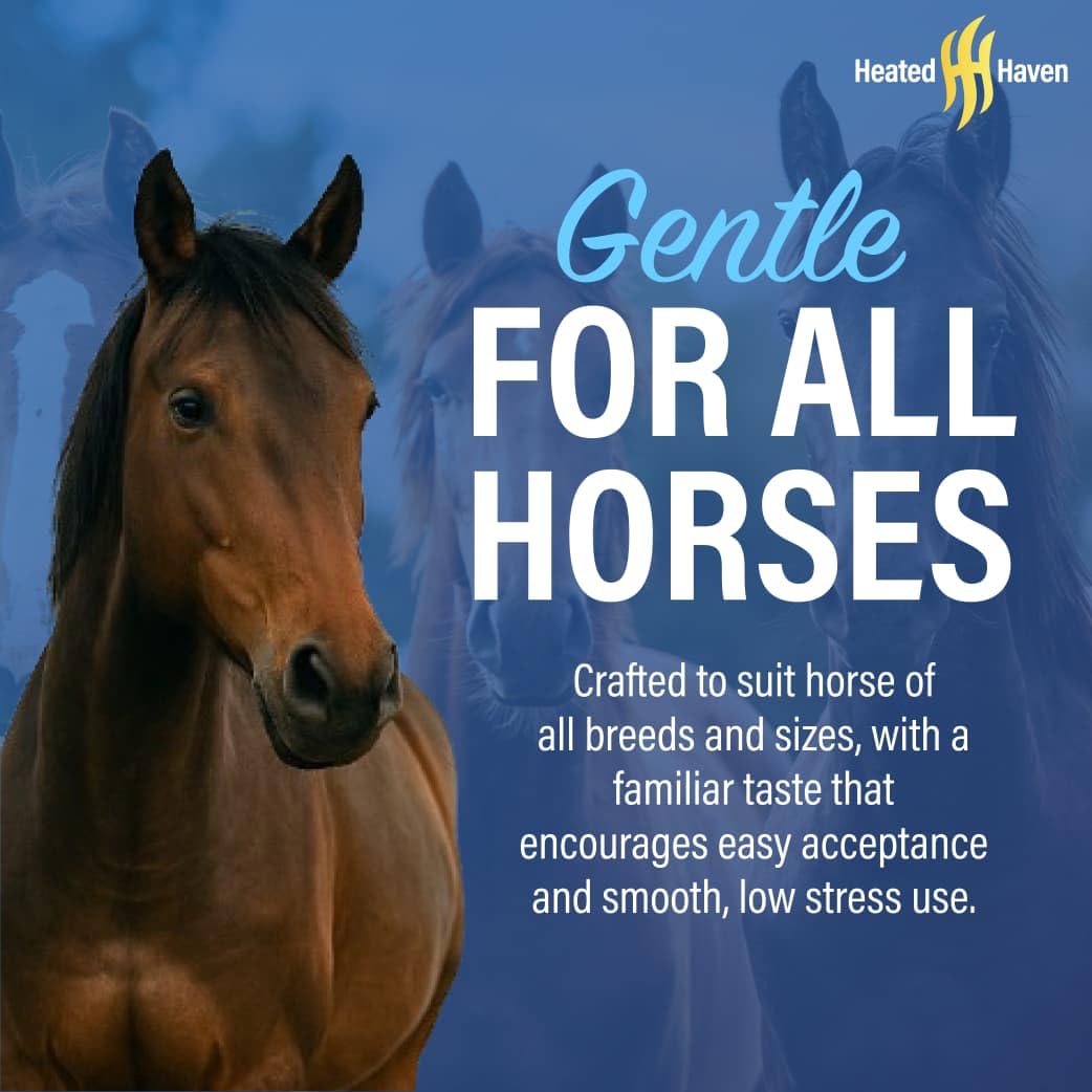 Premium Horse Paste Gel apple flavor aids stress-free horse handling during dosing.