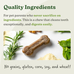 Presidio Earthbones dog chewing action captures a tasty dental care moment.