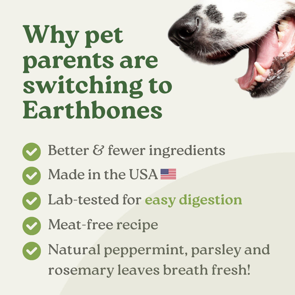 Presidio Earthbones dog mealtime image shows a calm dog enjoying a treat and reward.