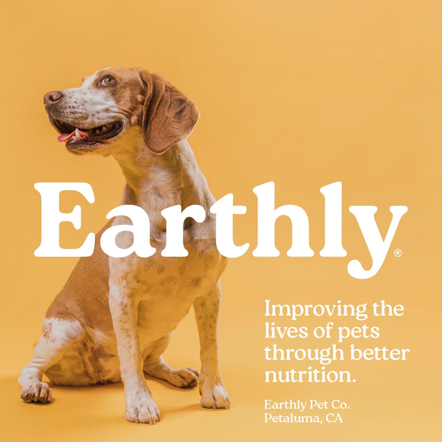 Presidio Earthly Pill Buddy doubles as a pill-wrapping treat and training reward.